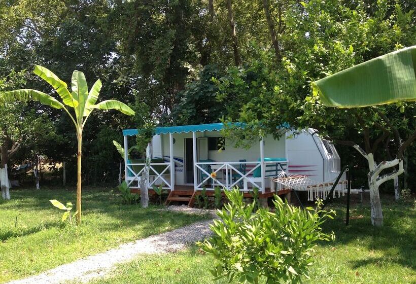 فندق Bellerofon Camping