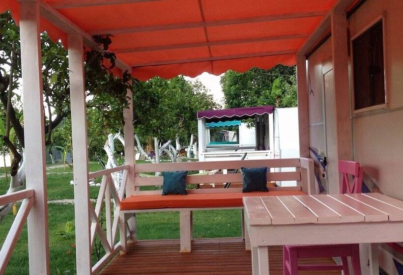 فندق Bellerofon Camping