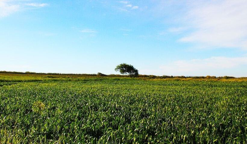 هتل Elaia Tenedos