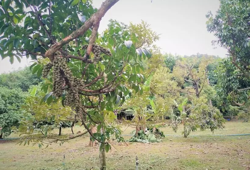هتل Somphoch Garden