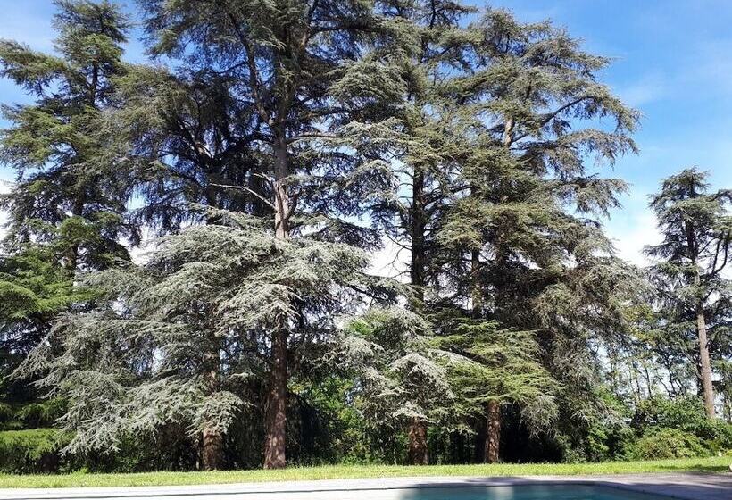 ペンション Le Jardin Des Cèdres