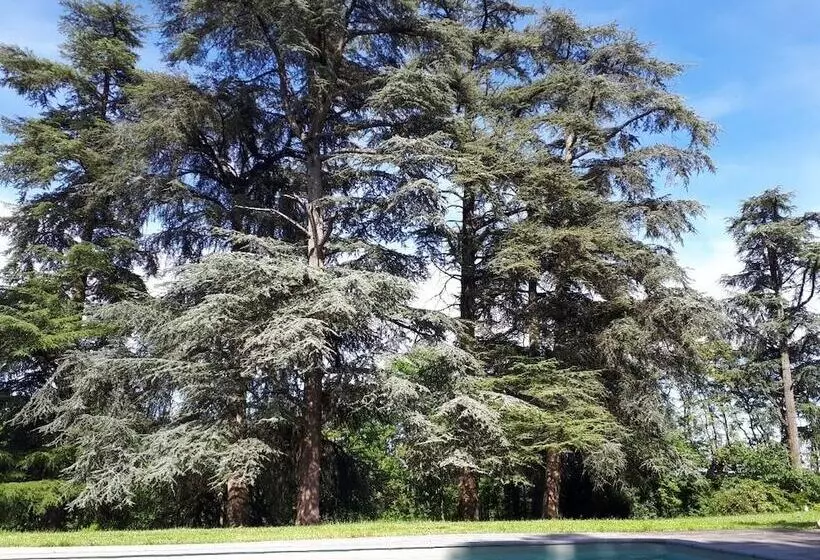 ペンション Le Jardin Des Cèdres
