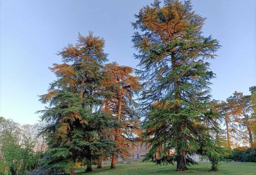 ペンション Le Jardin Des Cèdres