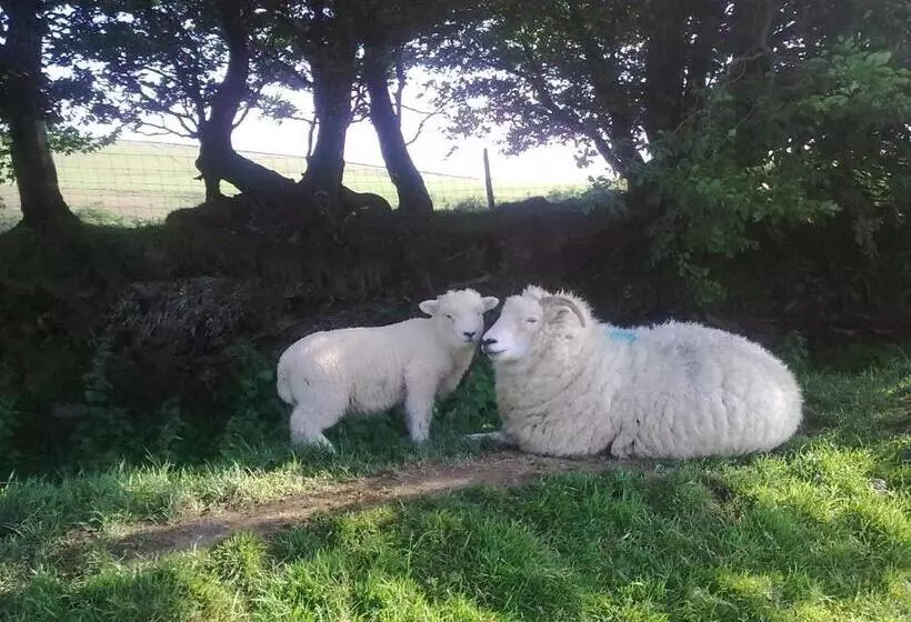 Bed and Breakfast Longmead House