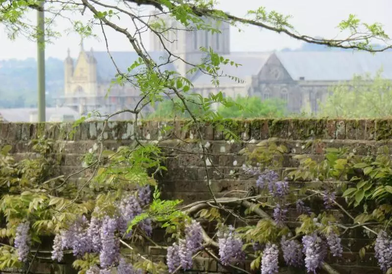 Aamiaismajoitus (B&B) St John's Croft