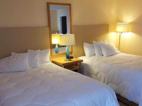 モーテル Sea Banks Motor Inn