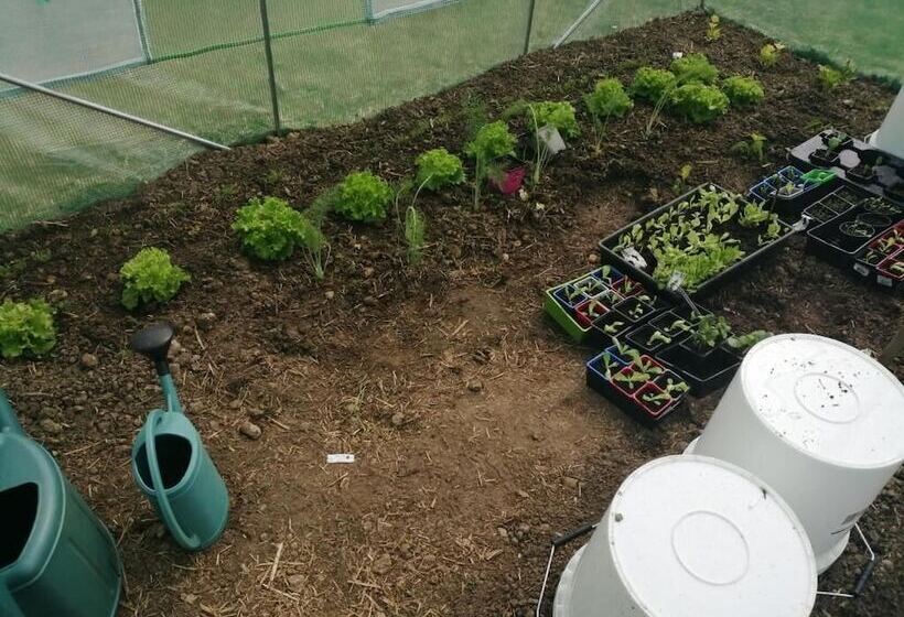 צימר Autour Des Châteaux