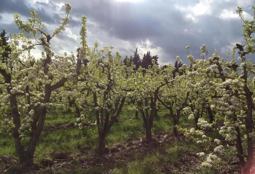 تختخواب و صبحانه Mas De La Coucourde