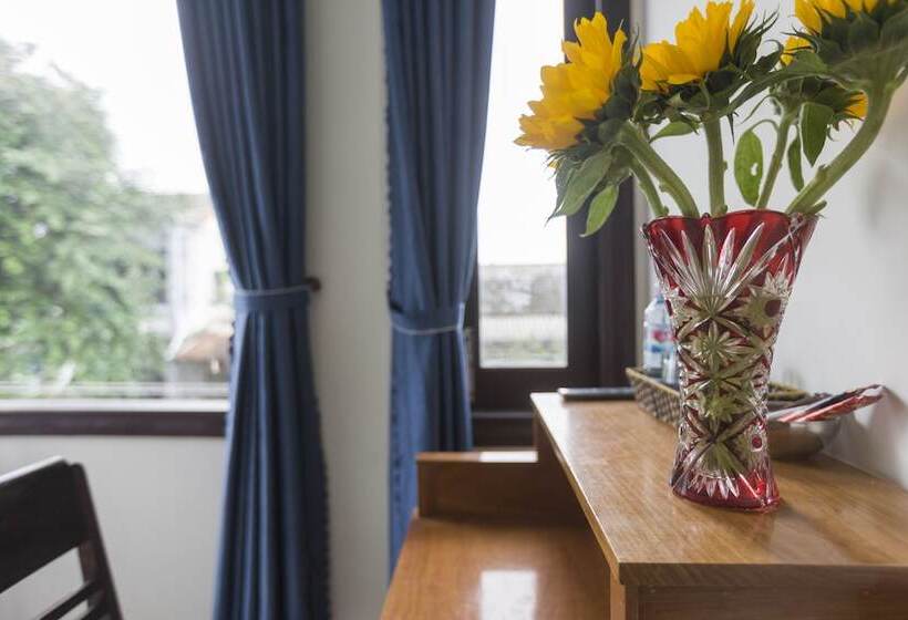 تختخواب و صبحانه New Destination Hoi An