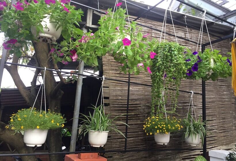 تختخواب و صبحانه New Destination Hoi An