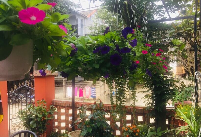 تختخواب و صبحانه New Destination Hoi An