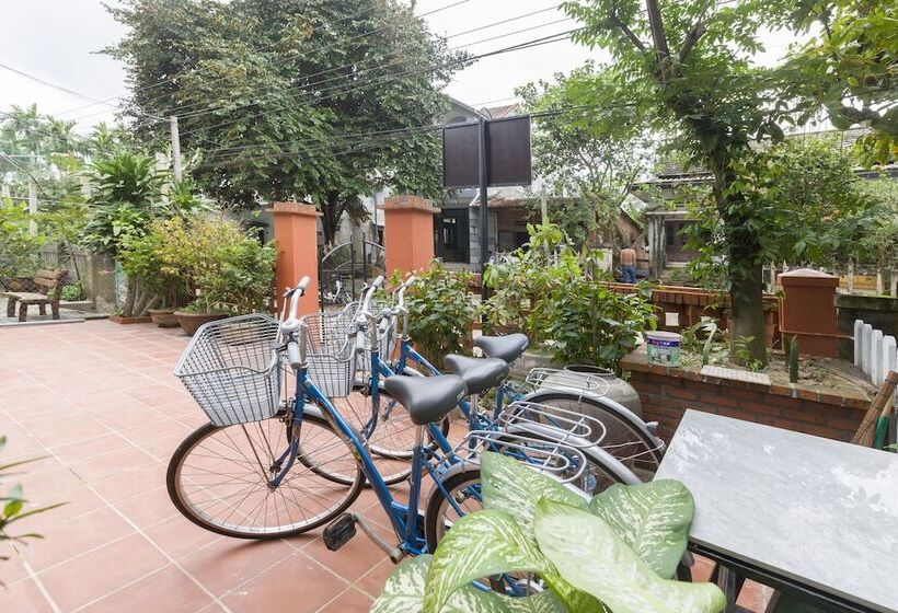 تختخواب و صبحانه New Destination Hoi An