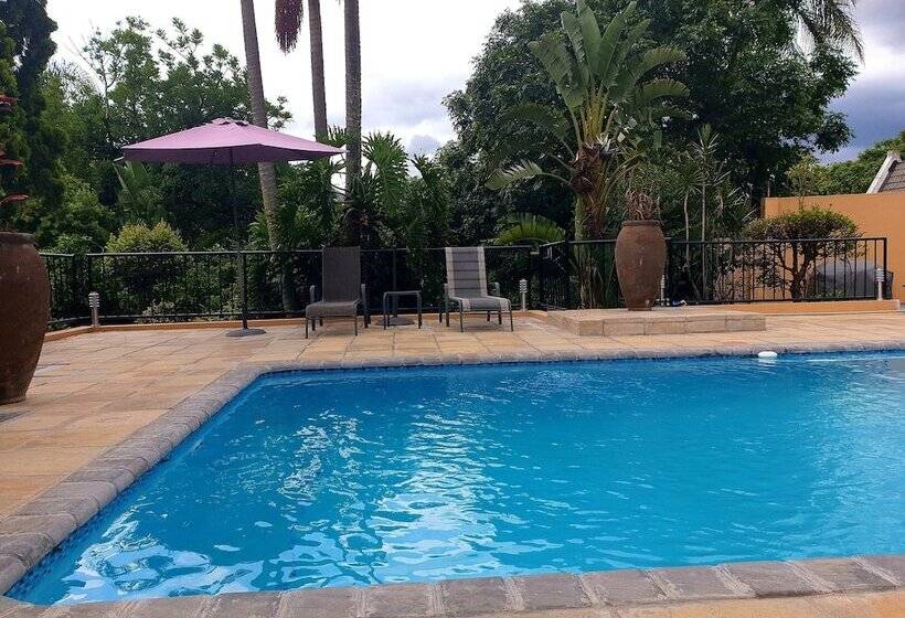 هتل Damicha Boutique Lodge