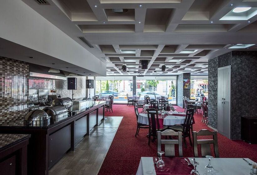 Отель Duzce Anil