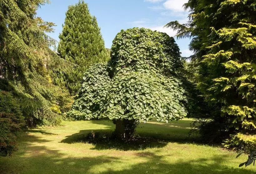 Hotelli Firlands Lodge