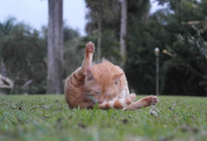 בית מלון כפרי Kilemakyaro Mountain Lodge