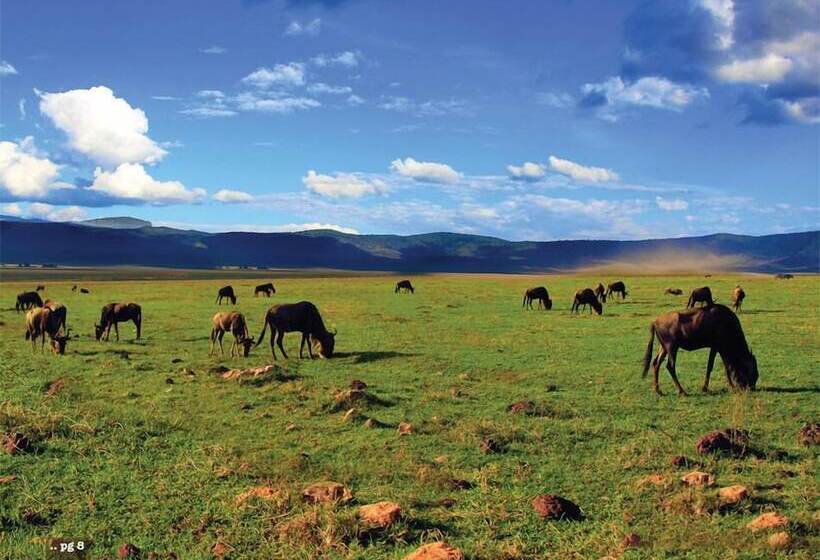 בית מלון כפרי Kilemakyaro Mountain Lodge