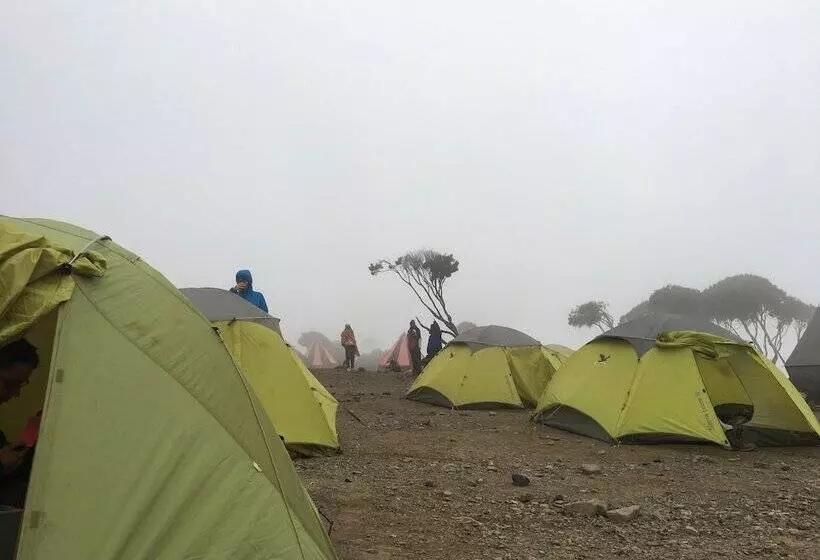 ホテル Kilemakyaro Mountain Lodge