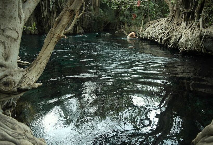 בית מלון כפרי Kilemakyaro Mountain Lodge