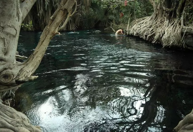 ホテル Kilemakyaro Mountain Lodge