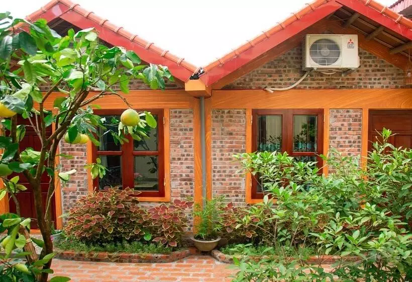 هتل Tam Coc Riverside Homestay