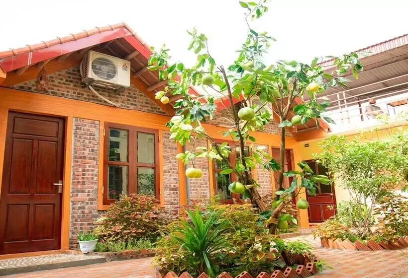 هتل Tam Coc Riverside Homestay