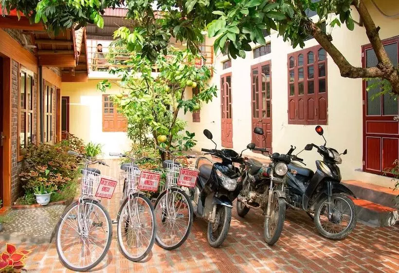 هتل Tam Coc Riverside Homestay