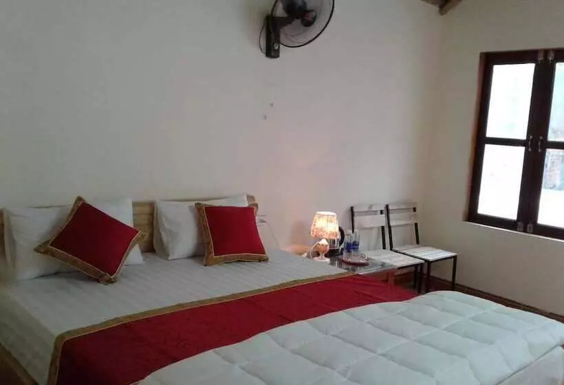 هتل Tam Coc Riverside Homestay