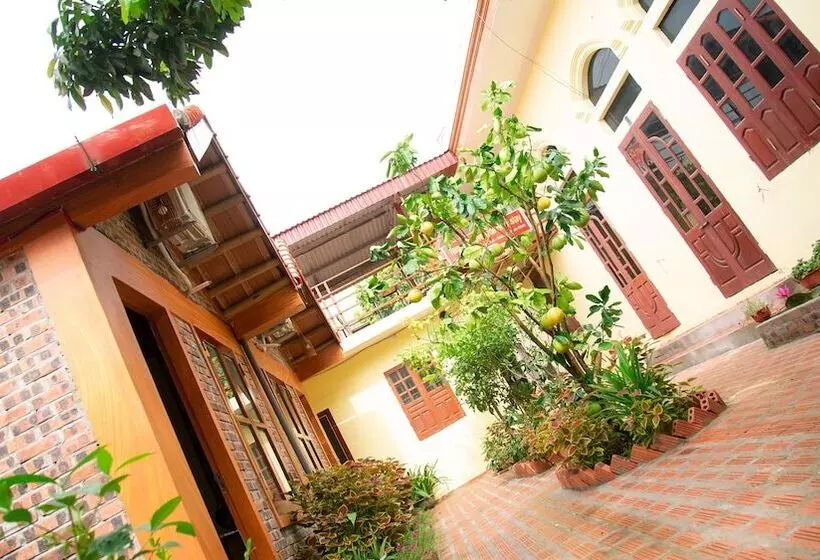 هتل Tam Coc Riverside Homestay