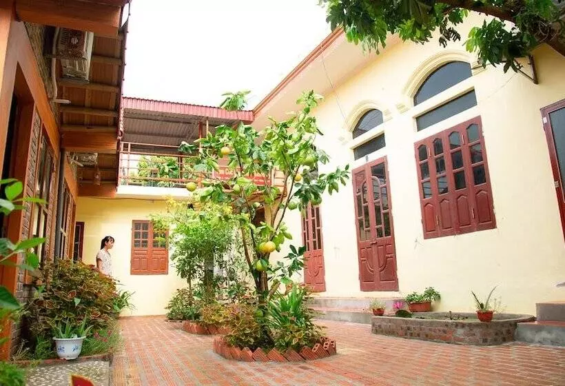 هتل Tam Coc Riverside Homestay