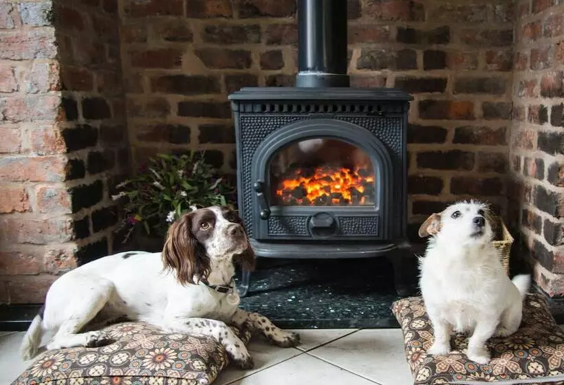 ペンション Compton Guest House