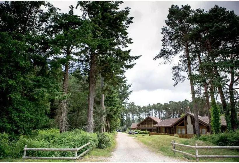 Dorset Resort