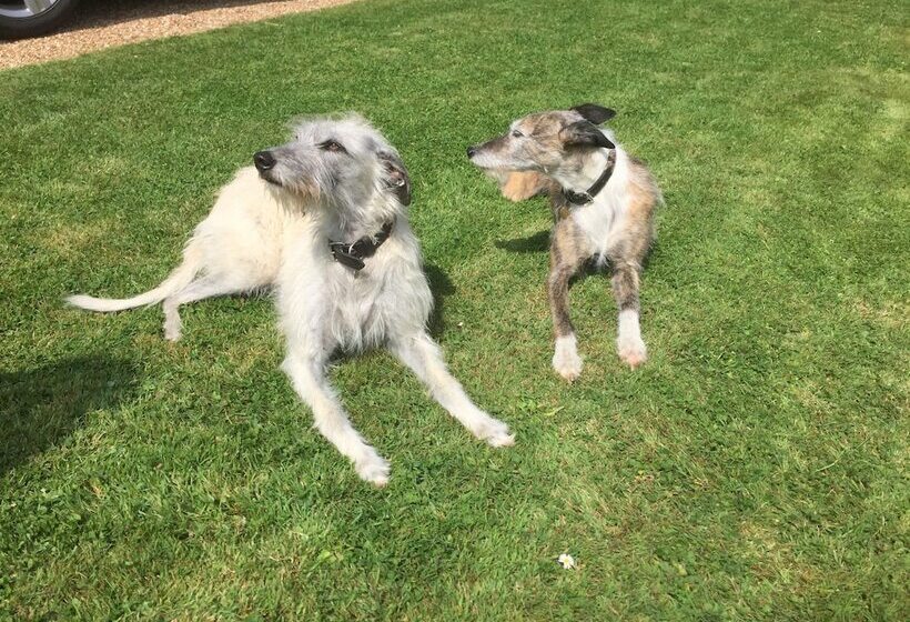 مبيت وإفطار Brook Farm Cottage