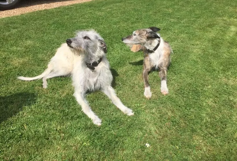 Aamiaismajoitus (B&B) Brook Farm Cottage
