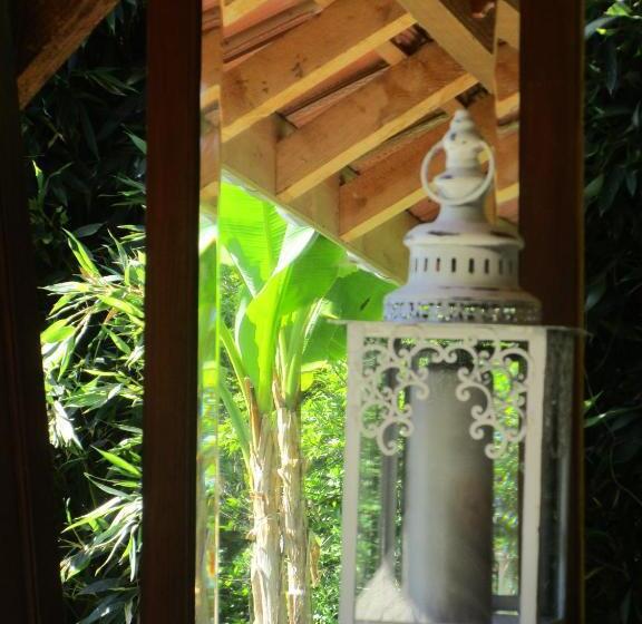 Bed and Breakfast Maison D Hôtes Léchémia