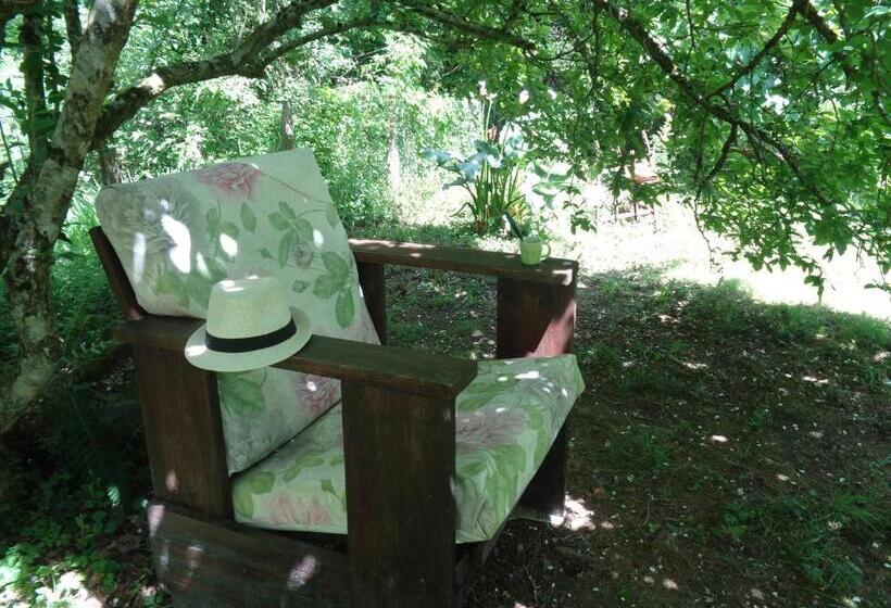 Bed and Breakfast Maison D Hôtes Léchémia