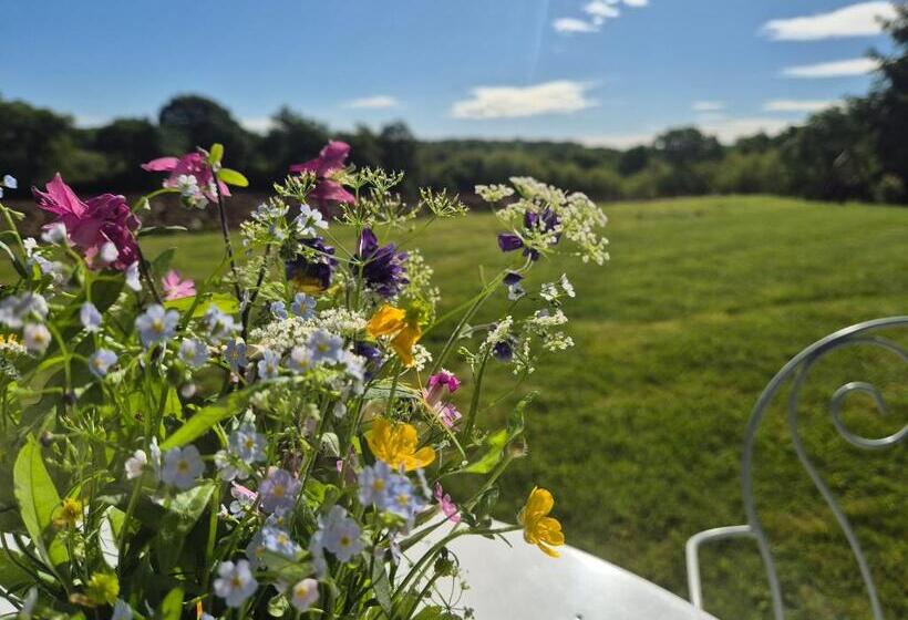Bed and Breakfast Maison D Hôtes Léchémia