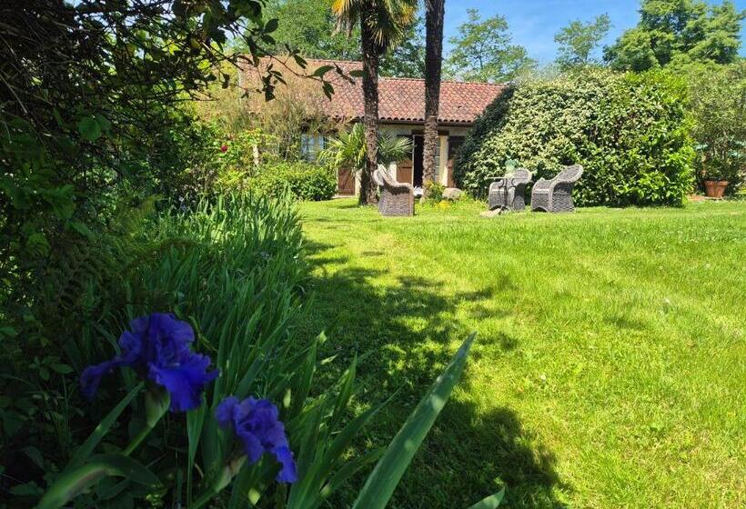 Bed and Breakfast Maison D Hôtes Léchémia