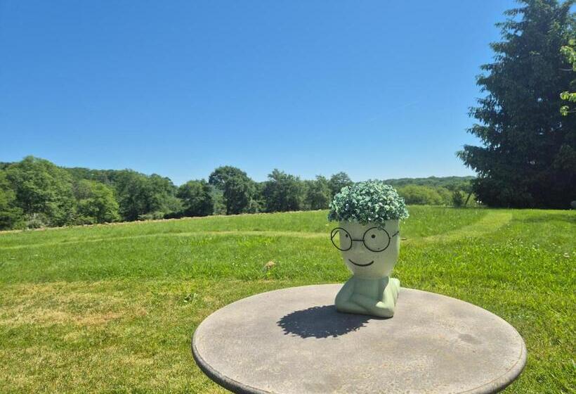 Bed and Breakfast Maison D Hôtes Léchémia