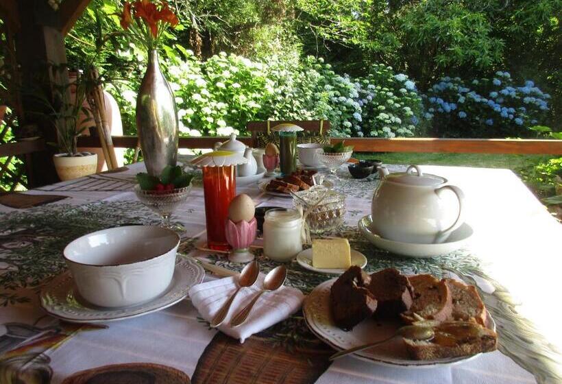 Bed and Breakfast Maison D Hôtes Léchémia