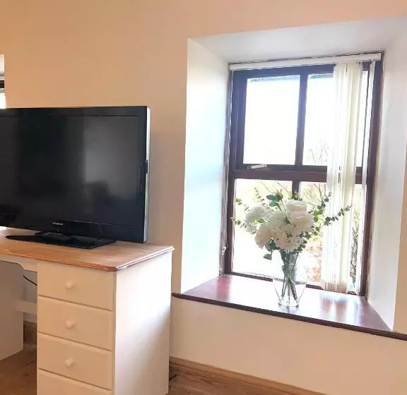 Aamiaismajoitus (B&B) Melin Tregib