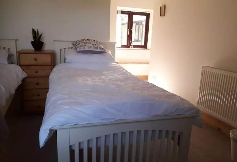 Aamiaismajoitus (B&B) Melin Tregib
