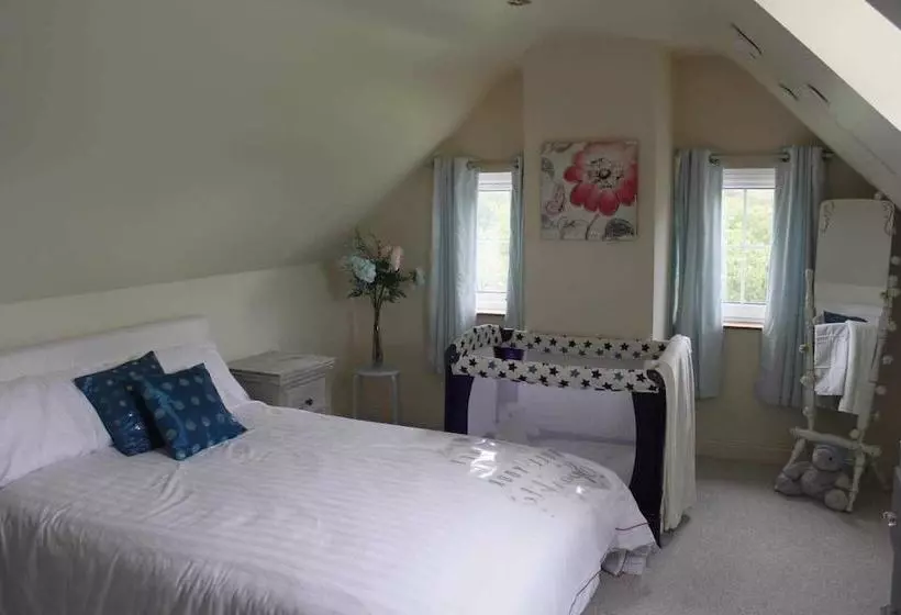 Aamiaismajoitus (B&B) Roe Valley Manor And Estate