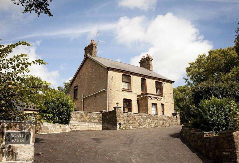 Bronllys Farm