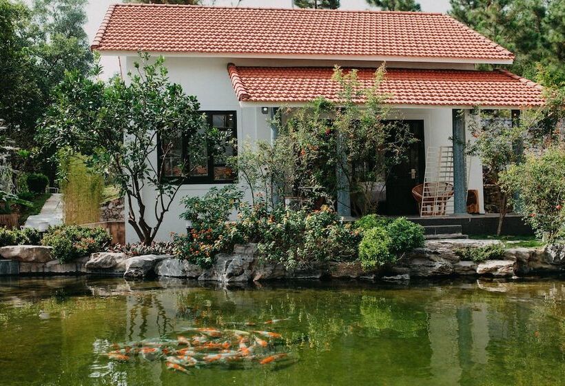 Oreka Homestay Halong   Hostel