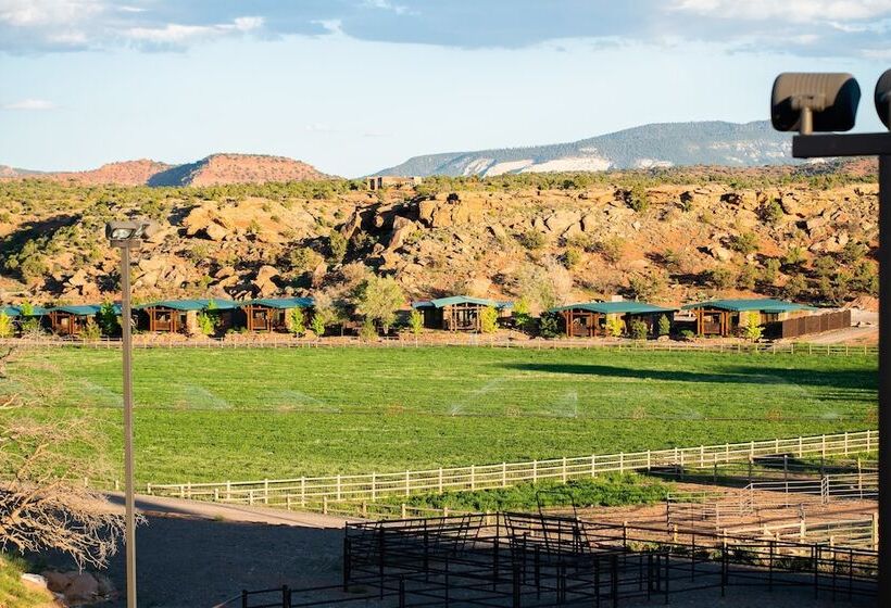 田舎風ホテル Cougar Ridge