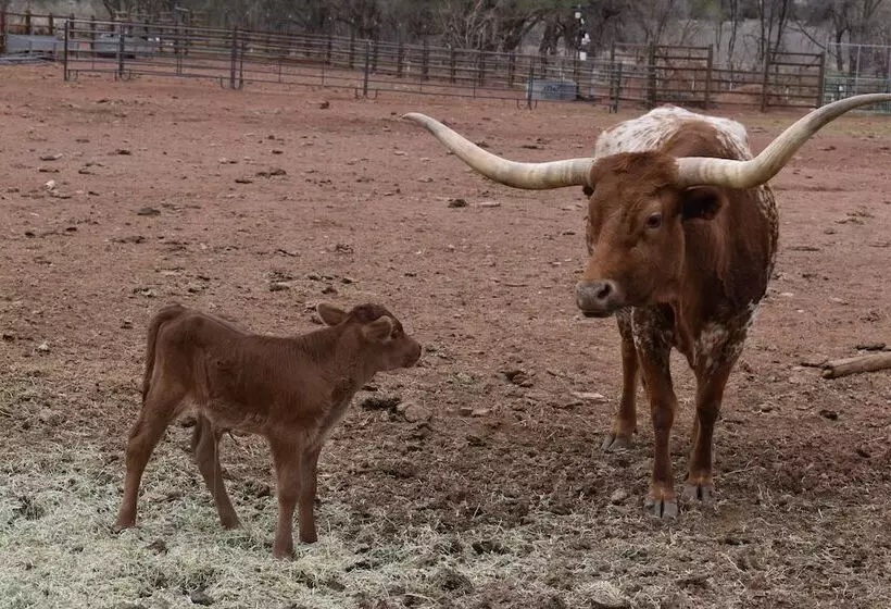 Maaseutuhotelli Cougar Ridge