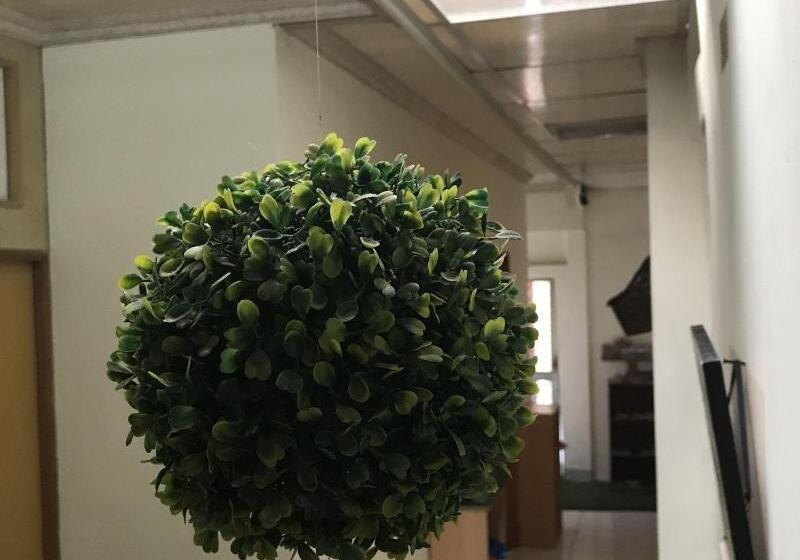 پانسیون Sun Moon Lake B&b