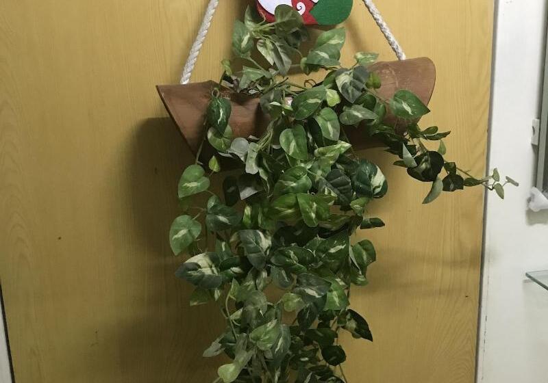 پانسیون Sun Moon Lake B&b