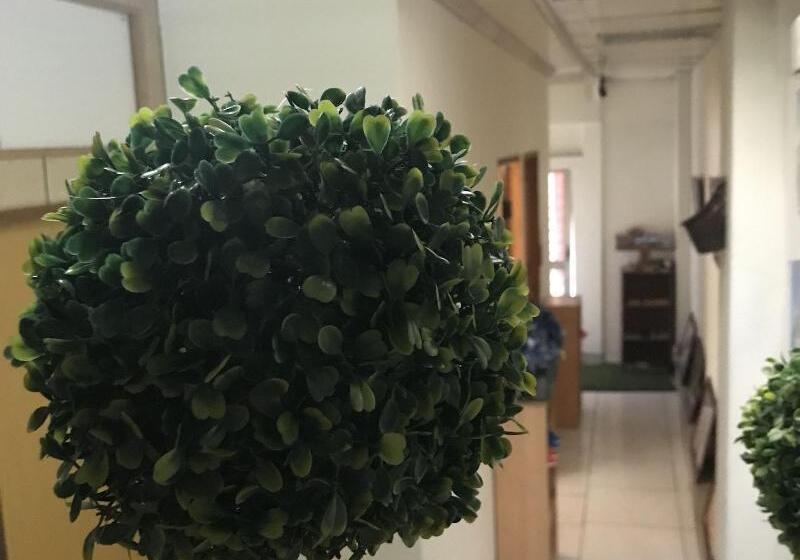 پانسیون Sun Moon Lake B&b